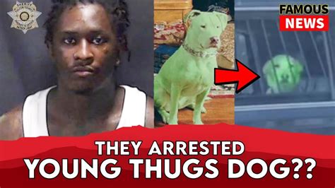 ysl dog green arrested|Young Thug Arrested, Gunna And More Indicted On RICO Charg.